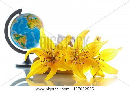 Globe with books and flowers on a white background
