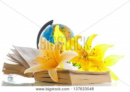 Globe with books and flowers on a white background