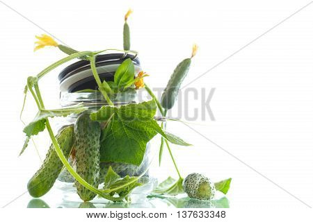 pickled cucumbers with herbs and spices in glass jar