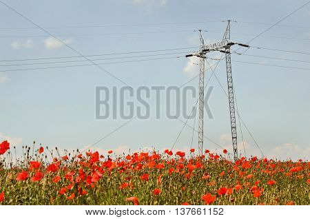 Power distribution, high voltage power pole in wheat field