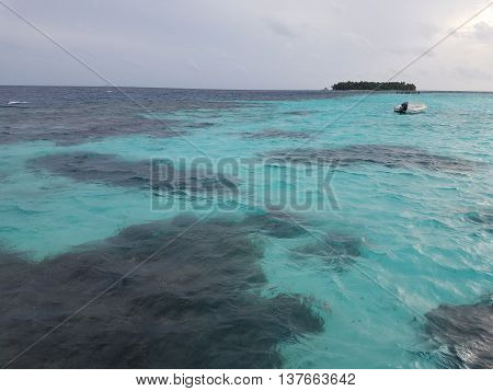 Maldives- View of the island and corals