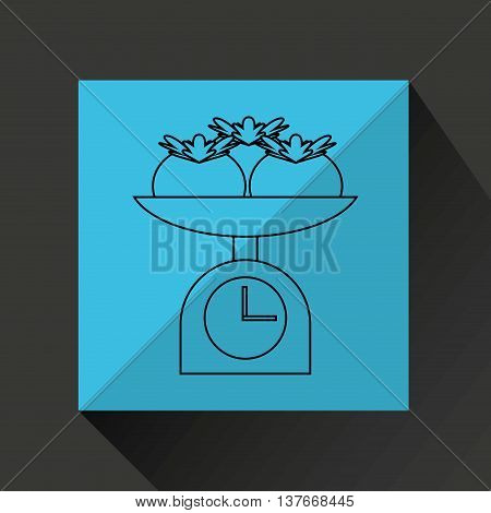 kitchen tools food Cookware isolated, vector illustration
