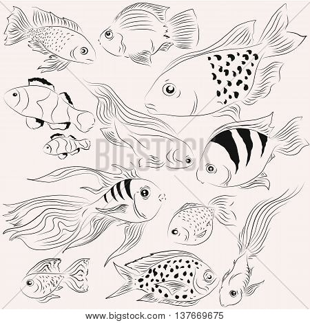 Illustrations fish. Ocean and sea. Monochrome set