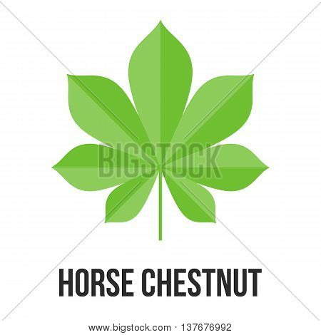 horse chestnut leave alternative medicine, flat desigh