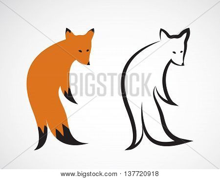 Vector group of fox design on white background. Vector fox for your design.