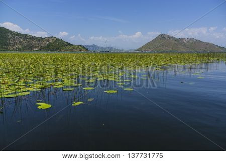 sunny Montenegro - a country in southern Europe