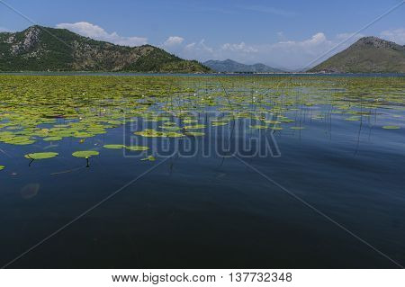 sunny Montenegro - a country in southern Europe