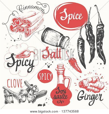 Vector illustration with sketch spice. Funny labels of fresh seasonings and spices.