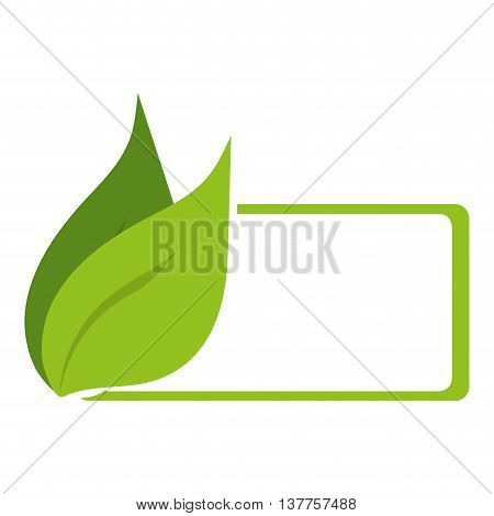 green leaves leaf nature isolated vector illustration