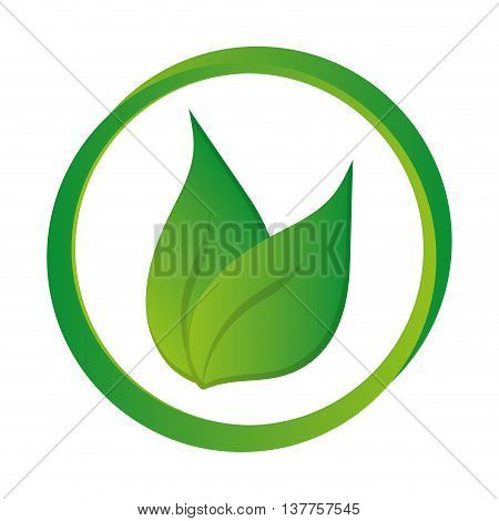 green leaves leaf nature isolated vector illustration