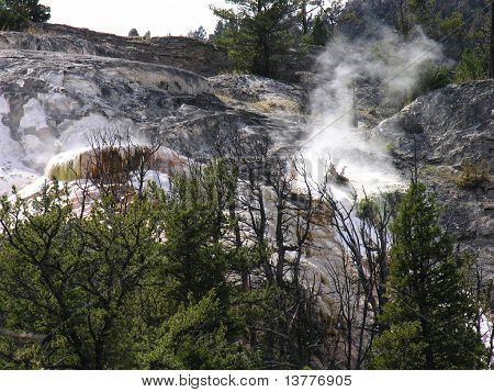 Sprężyny z Yellowstone