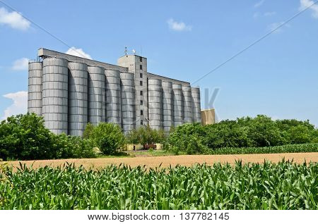 Cornfield and silo, farming in eastern Europe