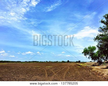 Land for Farm.landscape nature countryside summer  farming