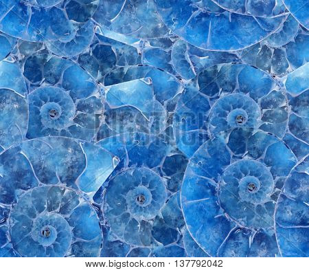blue ammonite spirals seamless background