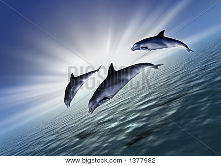 Diagonale dei tre delfini