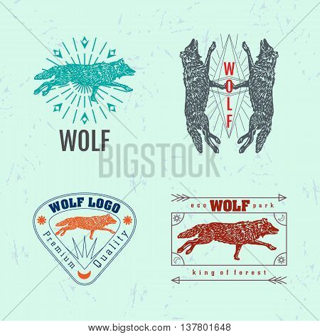Vector colorful set with forest wolf. The wolf as main element of logotypes on light blue background. Engraves vector design graphic element emblem logo sign identity logotype