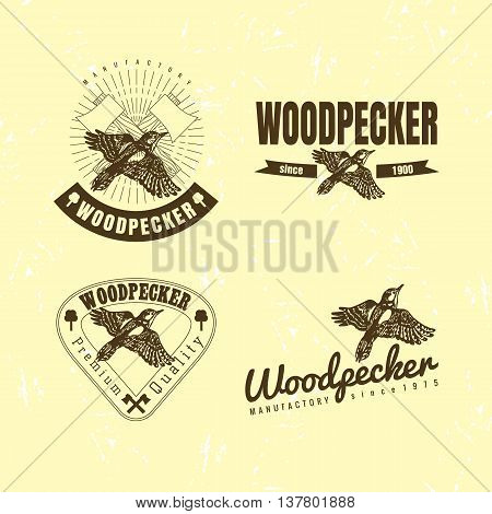 Vector colorful logo set with forest woodpecker bird. The woodpecker bird as main element of logotypes on beige background. Engraves vector design graphic element emblem logo