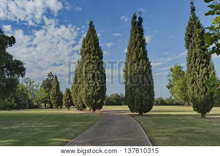 Beautiful landscape of Emmarentia park in Johannesburg, South Africa