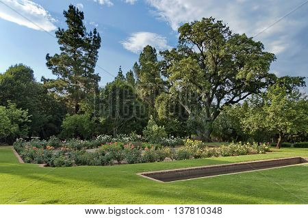 Fragment of Johannesburg Botanical Garden, South Africa