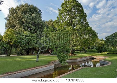 Beautiful landscape with small pond at Emmarentia park in Johannesburg, South Africa