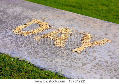 Day Word On Walk Road