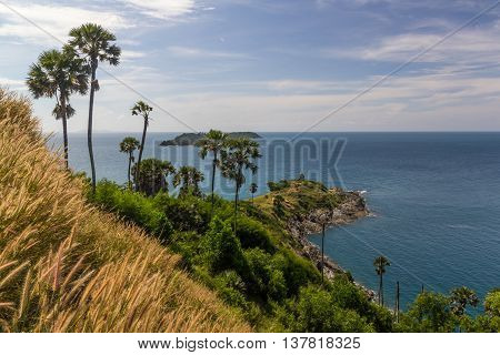 Seaview & palm trees at Promthep Cape in Phuket, southern Thailand