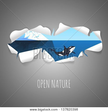 Torn paper with the illustration of iceberg in the sea and killer whale inside. Nature vector background with Torn paper.
