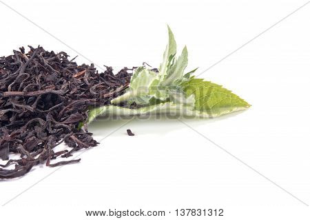 Black tea with the fresh mint leaves