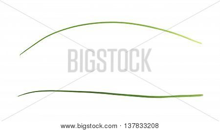 Green onion scallions isolated over the white background, set of two different foreshortenings