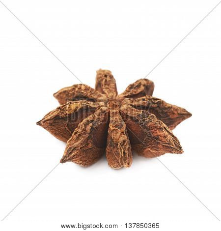 Single Chinese star anise seed isolated over the white background