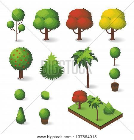 Vector set of isometric various trees: fir-tree apple tree palm tree.