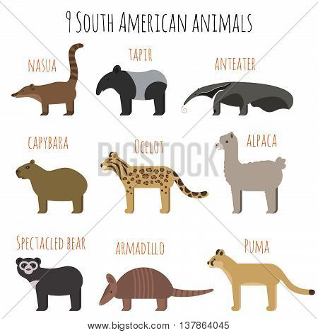 Vector set of South American animals icons. Anteater tapir armadillo capybara. Flat style.