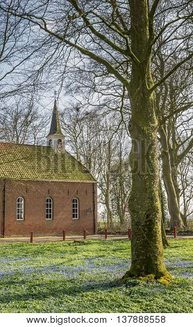 Spring flowers and old church in Oudeschans Netherlands