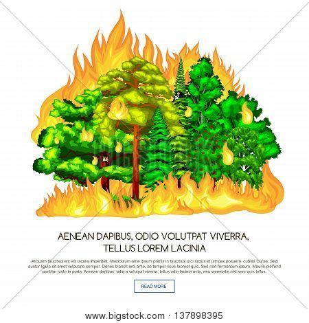 Forest Fire, fire in forest landscape damage, nature ecology disaster, hot burning trees, danger forest fire flame with smoke, blaze wood background vector illustration. Wildfire burning tree in red and orange color.