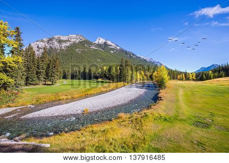 Picturesque valley in Banff National Park. Beneaped autumn stream with a pebbly bottom flows among fields and pine forests