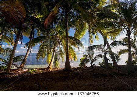 Beautiful view of a tropical beach in Praslin, Seychelles