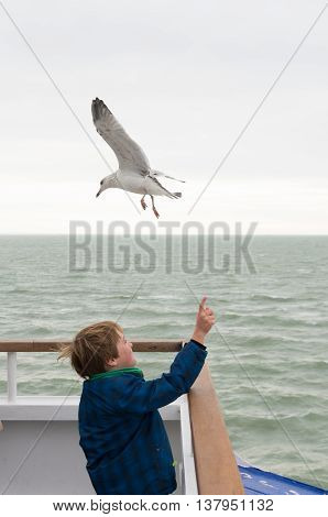 DOVER ENGLAND - OCTOBER 24 2015: Unknown boy feeding a seagull on a ferry boat from Dover to Dunkirk