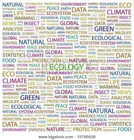 ECOLOGY. Word collage on white background. Illustration with different association terms.