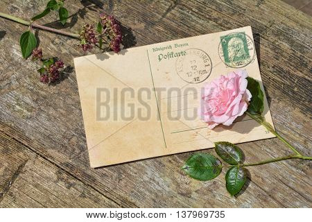 old blank vintage postcard with old stamp is on old wood with pink rose