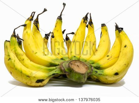 Bunch of bananas isolated on white background