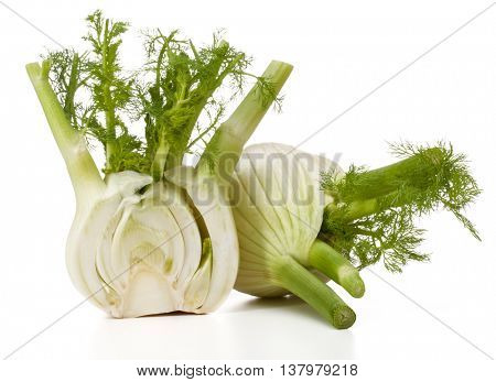 Fresh fennel bulb isolated on white background close up