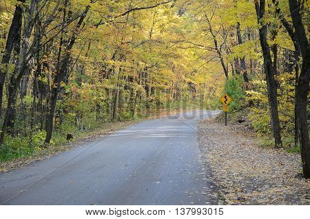 Autumn Colors Along a Rural Road in Devils Lake State Park near Baraboo Wisconsin