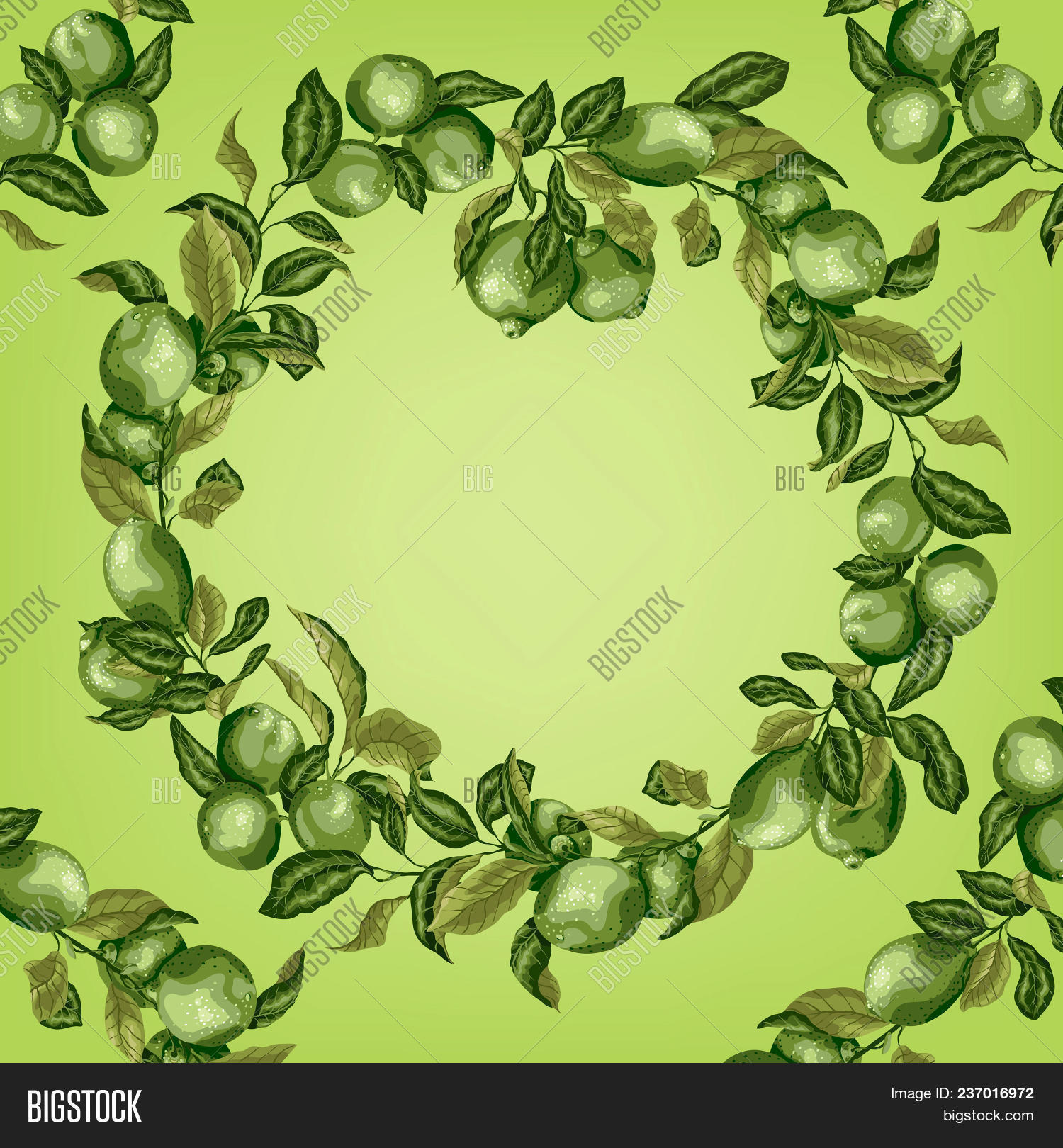 template circle frame vector photo free trial bigstock
