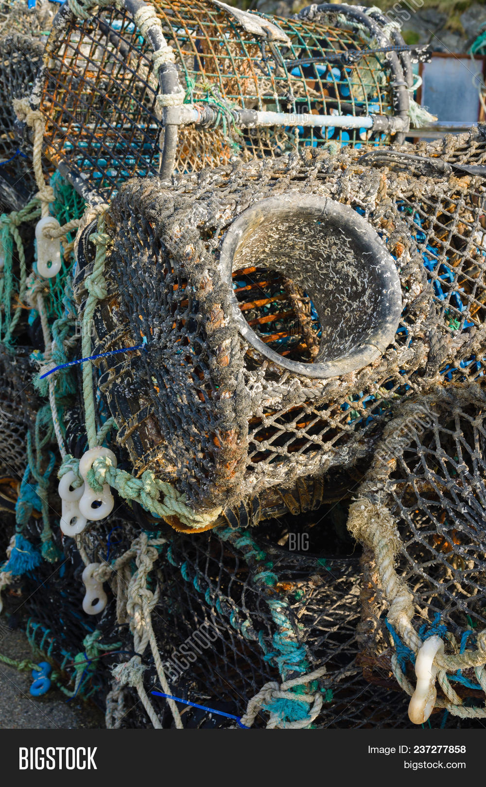 Lobster Crab Pots Image & Photo (Free Trial) Bigstock