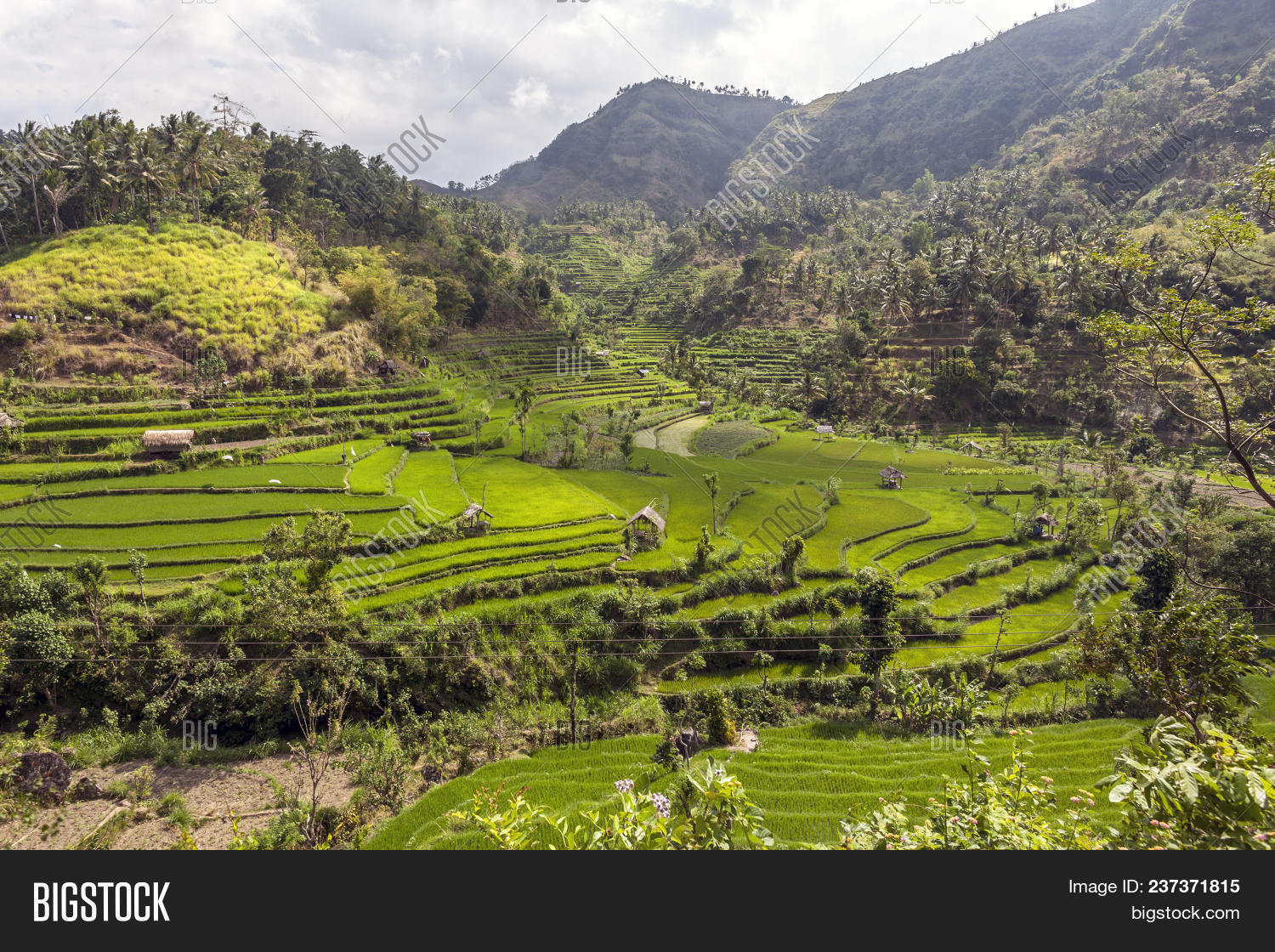 Bali: Pulau Bali, Image & Photo (Free Trial) | Bigstock