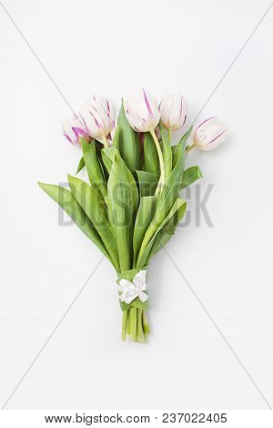 Spring Flowers On A White Background In The Studio. Tulips