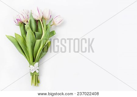 Spring Flowers On A White Background In The Studio. Tulips