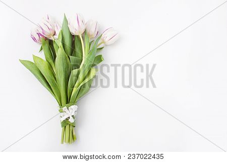Spring Flowers On A White Background In The Studio. Tulips
