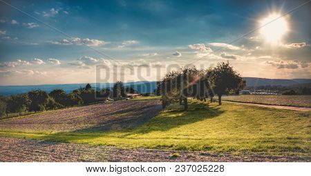 Beautiful Sun On A Blue Sky In Summer. Visible Field And Trees
The City Of Regensdorf In Germany
