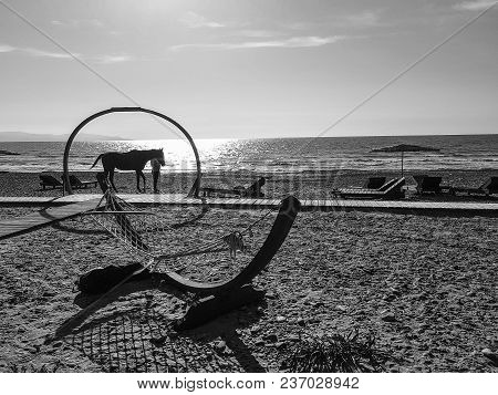 Woman And Horse Walkig  Under A Wooden Arch Along The Sandy Beach Of Ayia Eirini In The Ilsand Of Cy